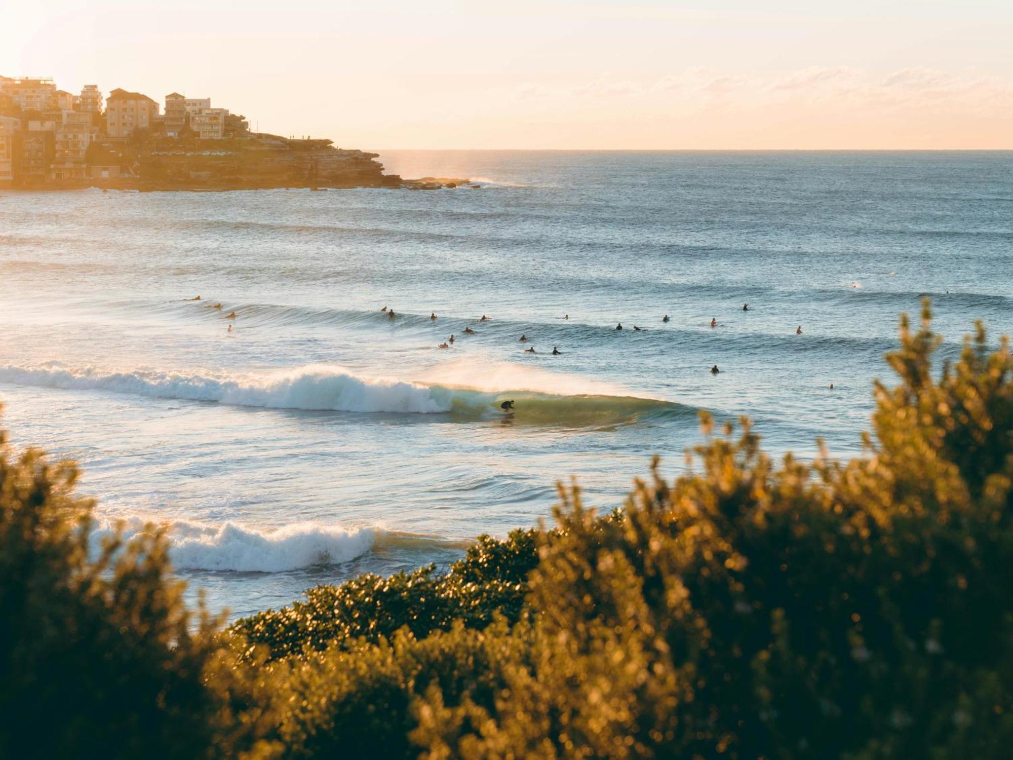 Apartment Stylish And Perfectly Located Bondi Hideaway